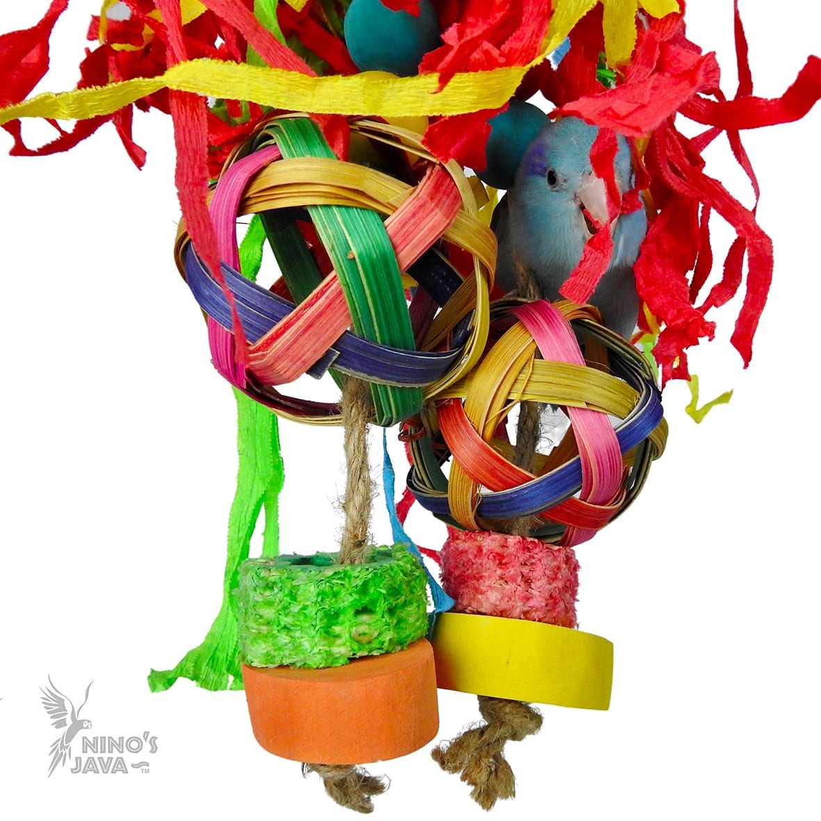 Ninos Java Jellyfish