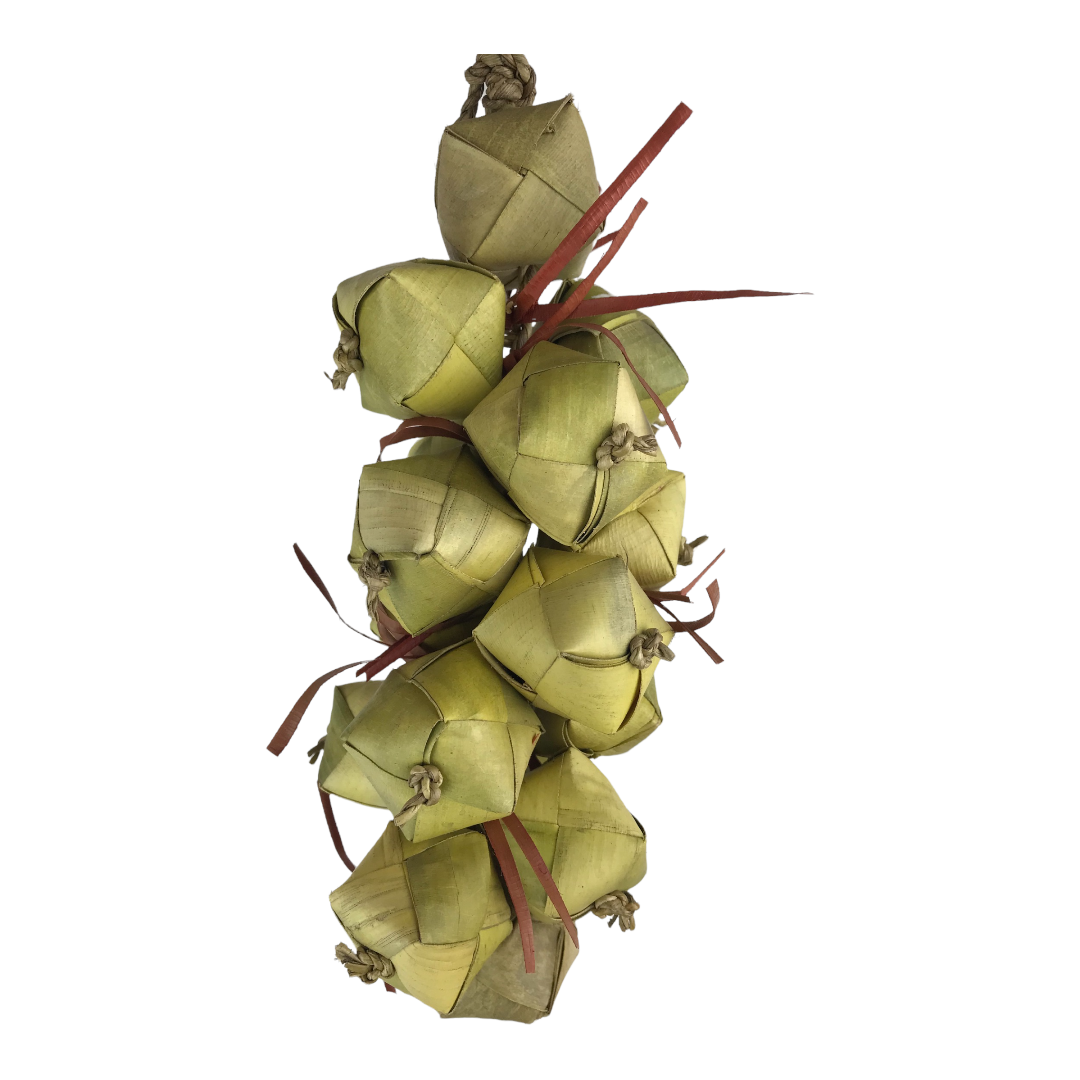 Ninos Java Palm Nuts