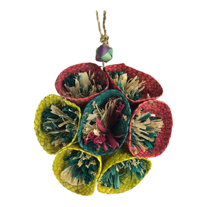 Ninos Java Rosie
