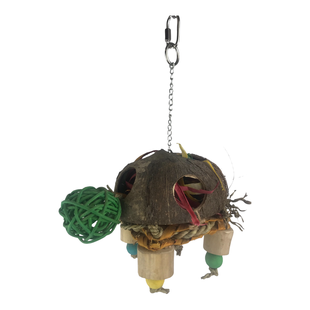 Ninos Java Turtle Forager