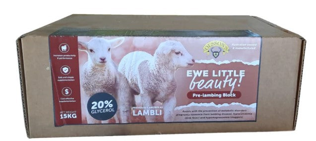 Olssons Ewe Little Beauty Lick Block