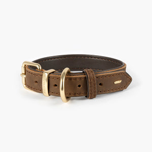 EzyDog Oxford Collar