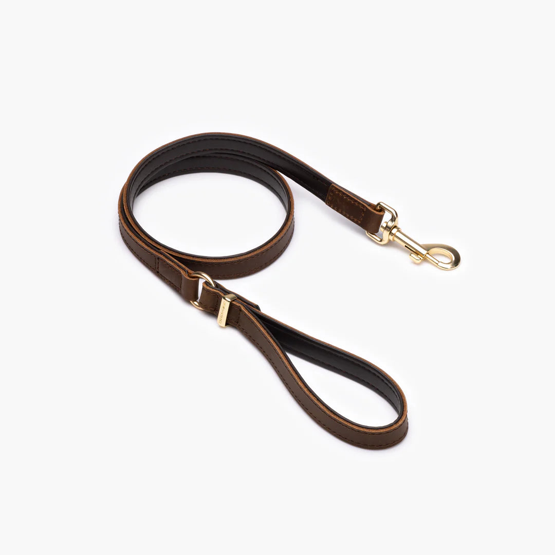 EzyDog Oxford Leash