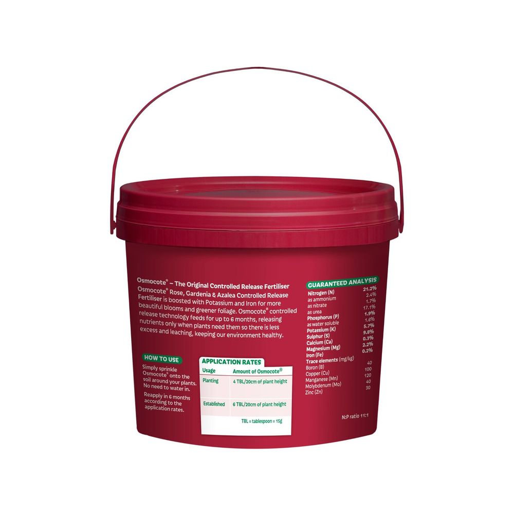 Scotts Osmocote Rose Gardenia and Azalea Fertiliser