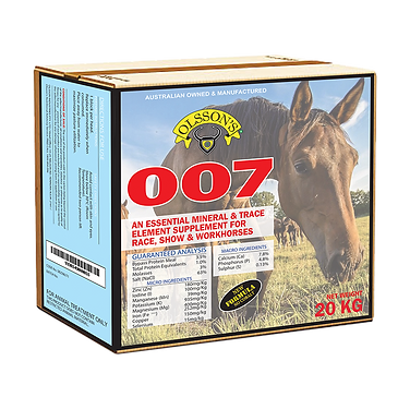 Olssons 007 Horse Lick Block