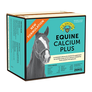 Olssons Equine Calcium Plus Lick Block