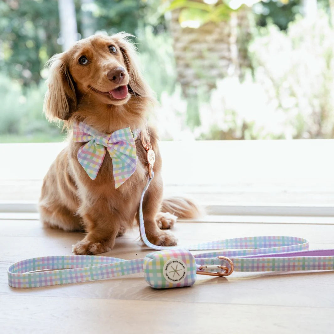 Soft Dog Lead Rainbow Gingham