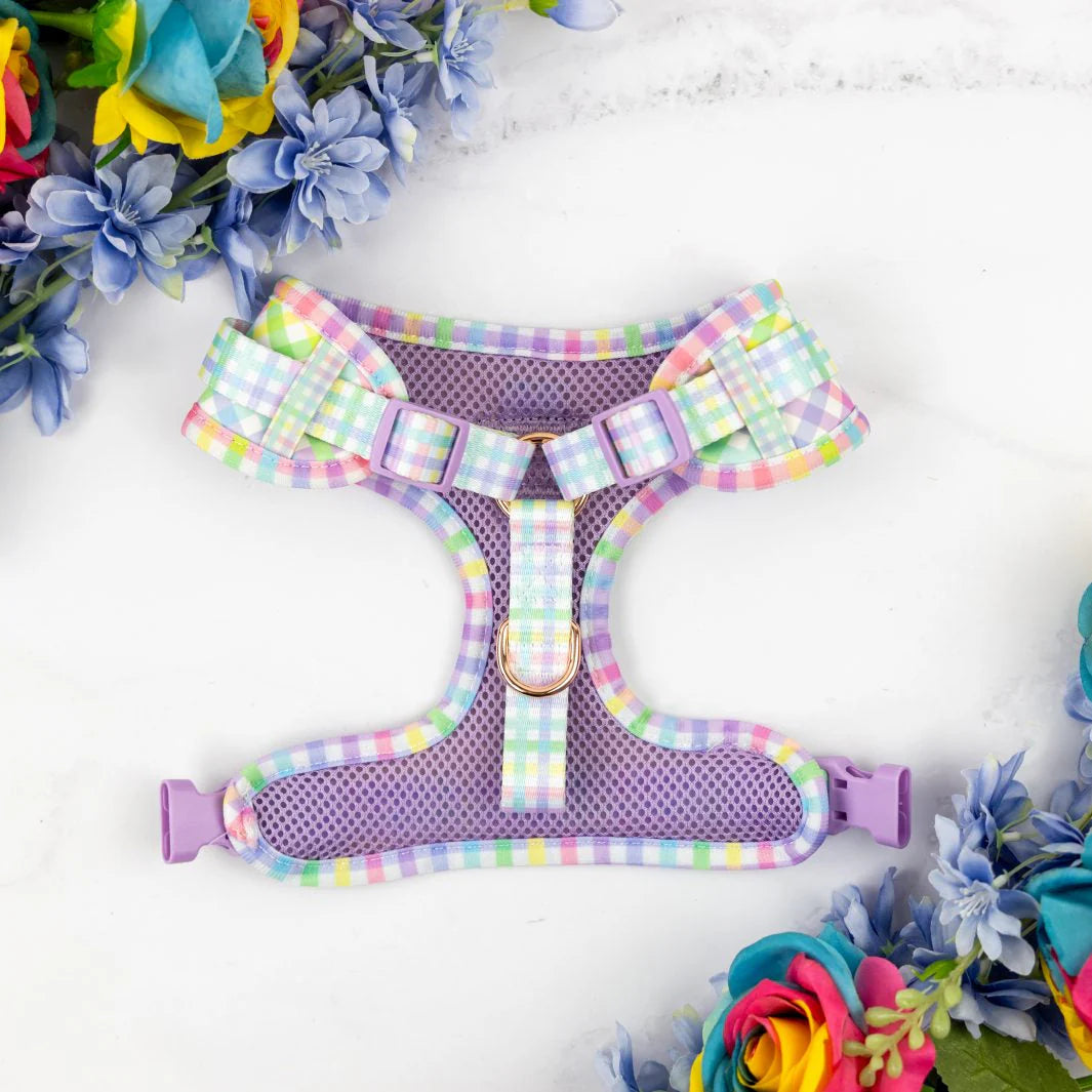Adjustable Dog Harness Rainbow Gingham