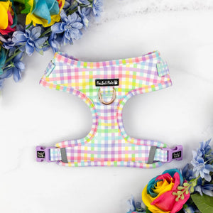 Adjustable Dog Harness Rainbow Gingham