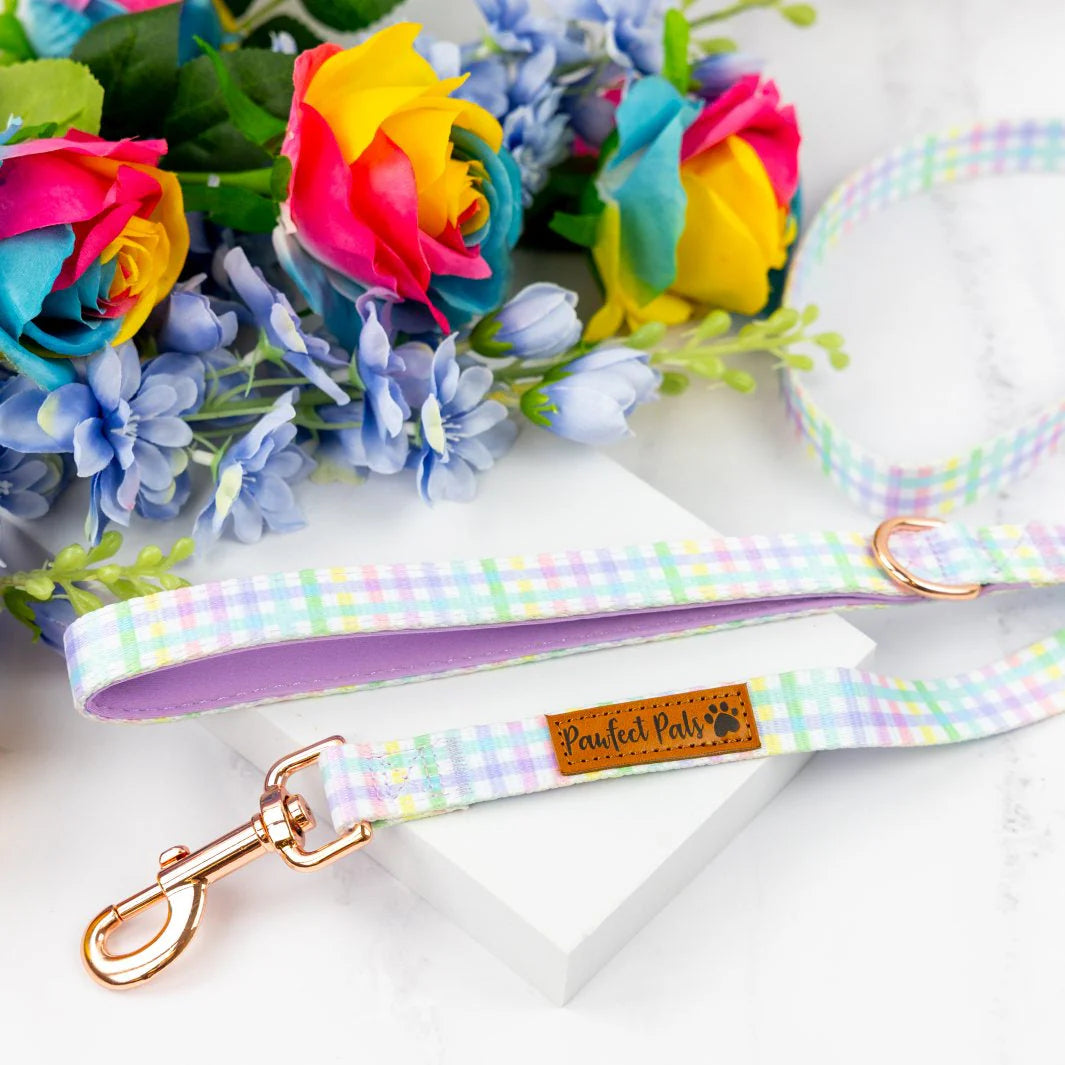 Soft Dog Lead Rainbow Gingham