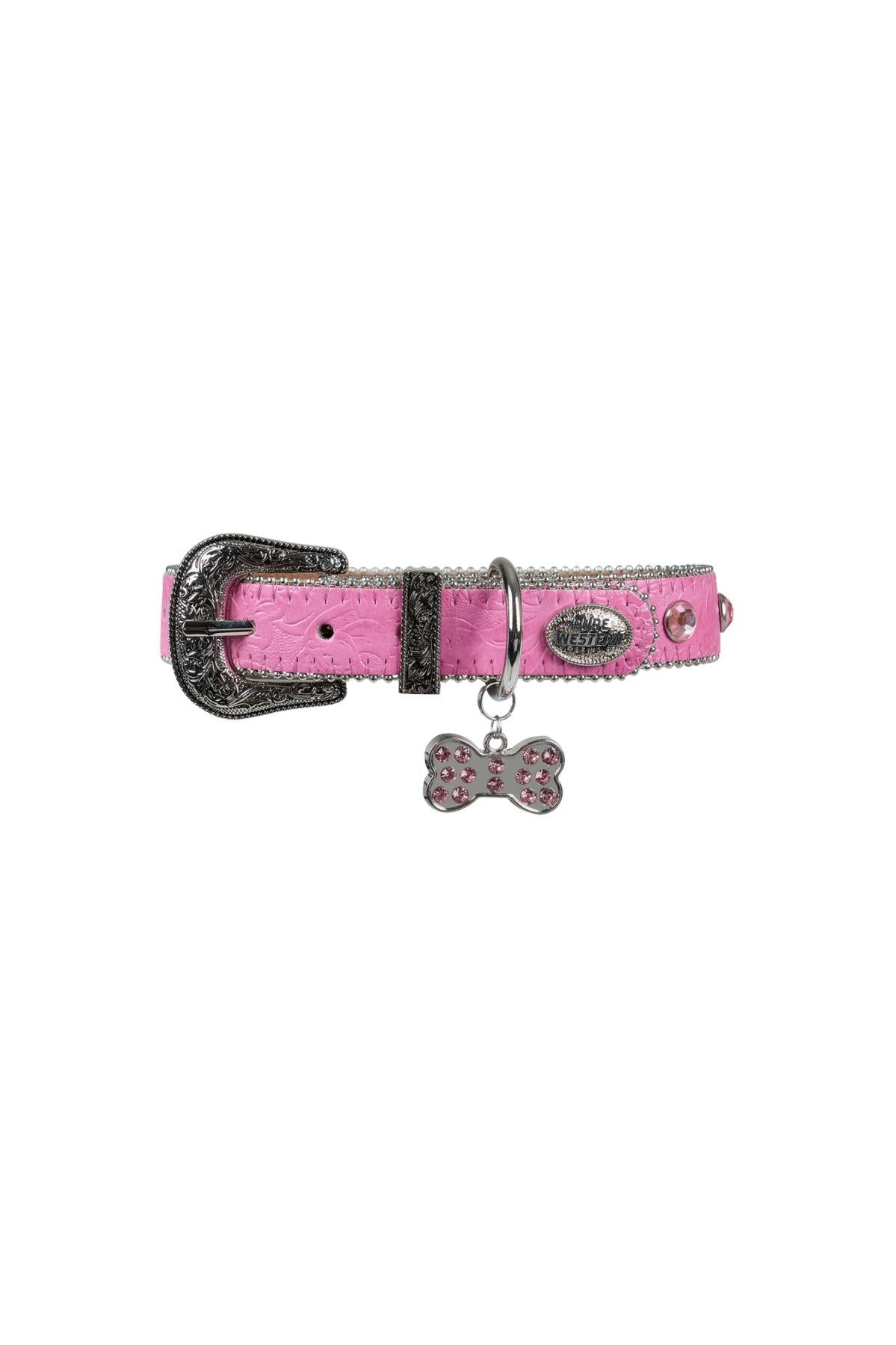 Pure Western Tilly Dog Collar