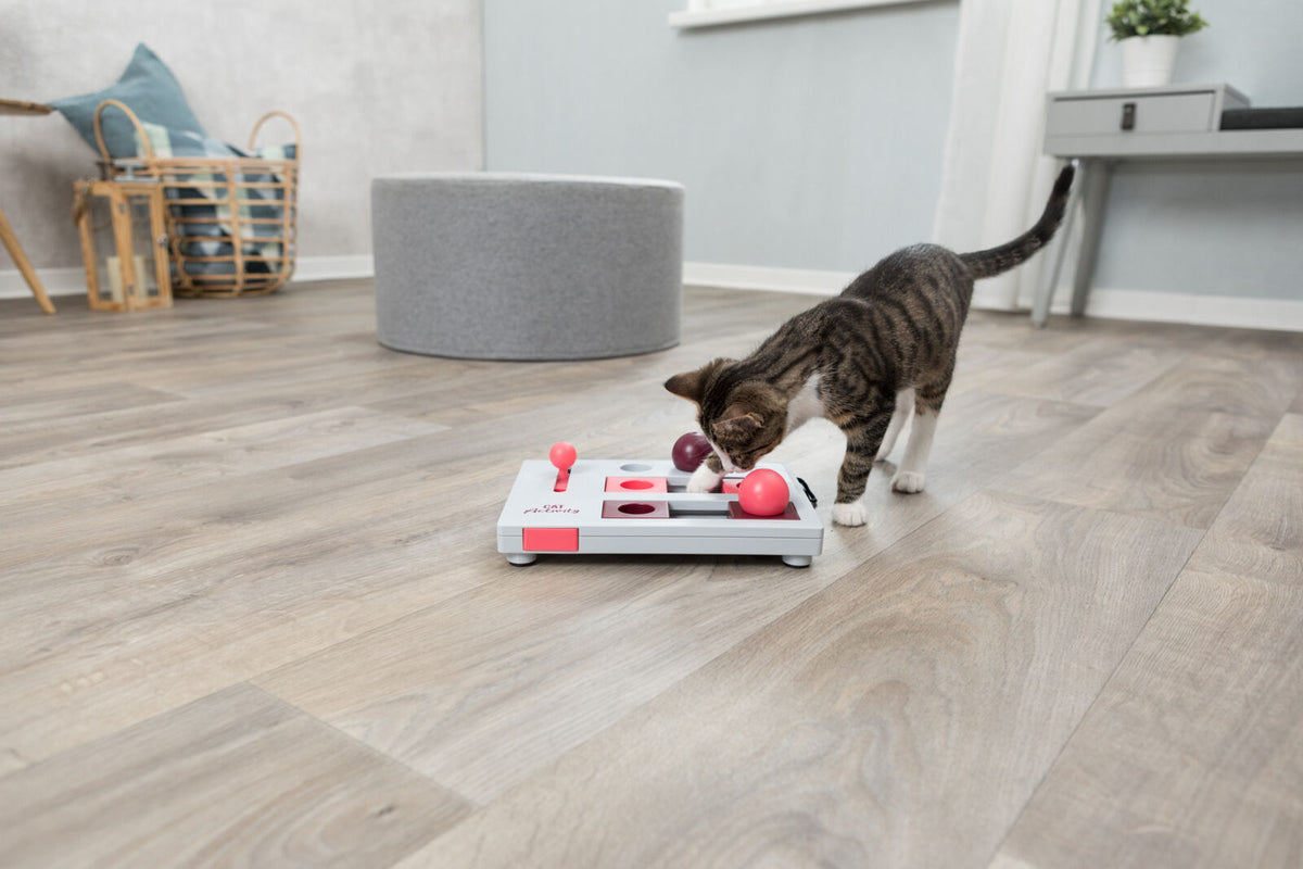 Trixie Brain Mover Strategy Game Activity Cat Feeder