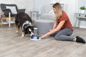 Trixie Gamble Tower Dog Activity Feeder