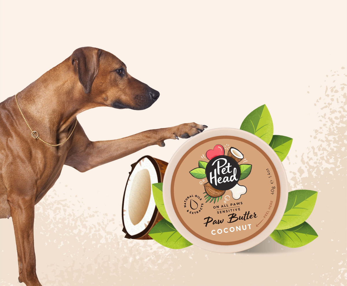Pet Head On All Paws Coconut Paw Butter