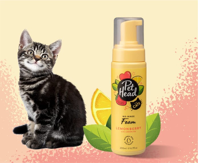 Pet Head Felin' Good Foam