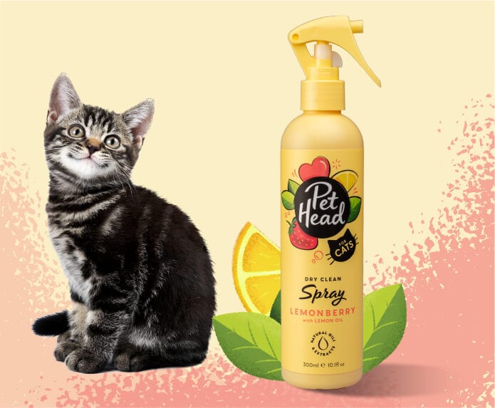 Pet Head Felin' Good Spray