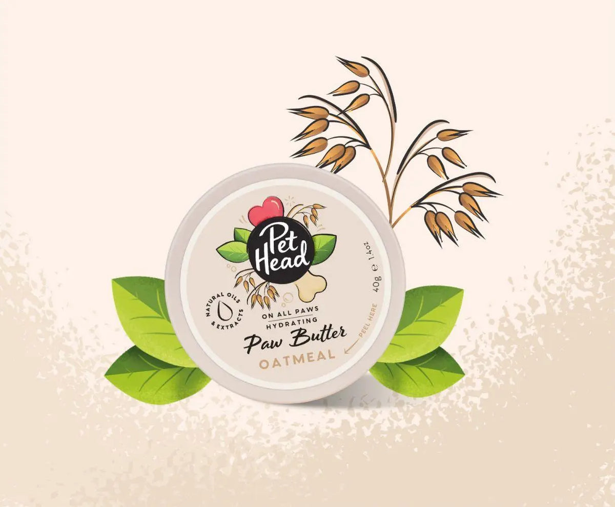 Pet Head On All Paws Paw Butter