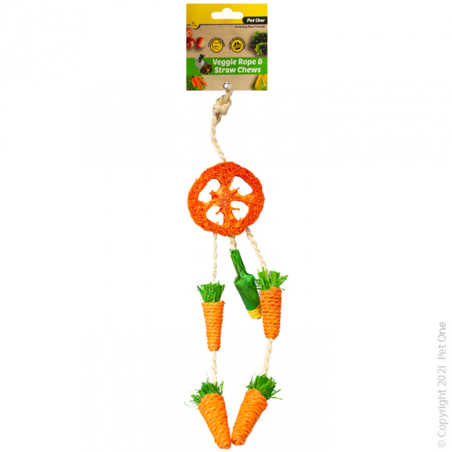 Pet One Rope and Straw Chew Hanging Dreamcatcher