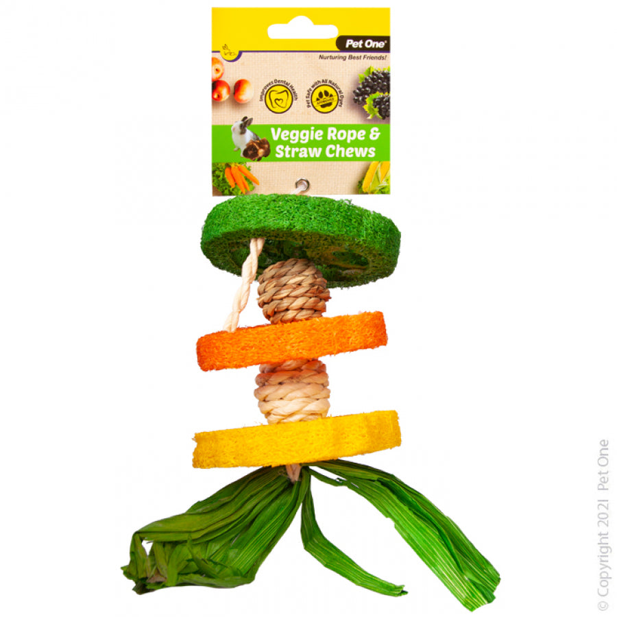Pet One Rope and Straw Chew Hanging Hula