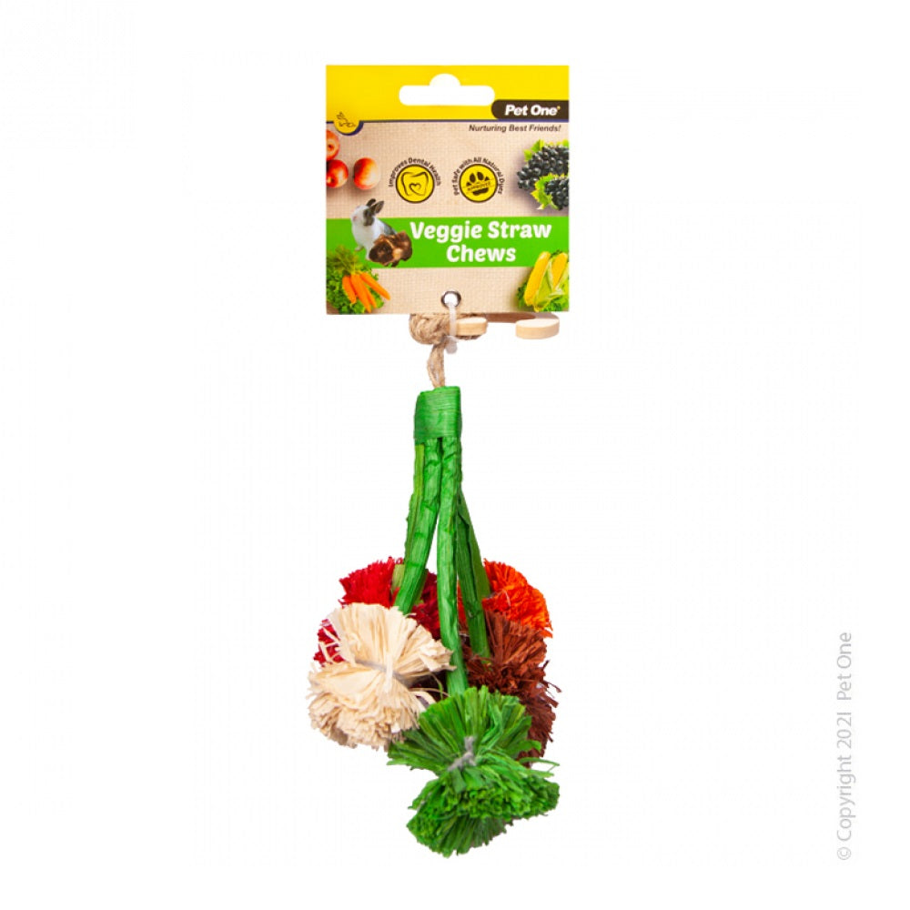 Pet One Veggie Straw Chew Hanging Broccoli