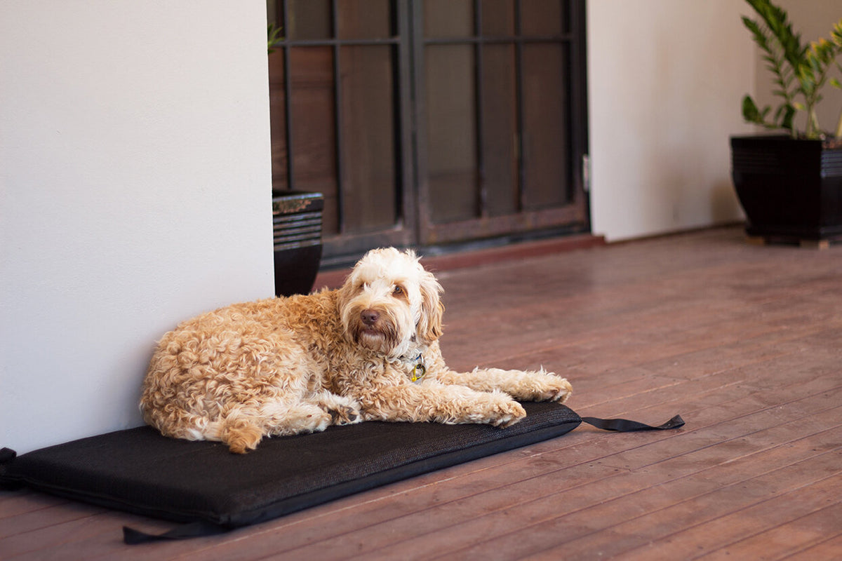 Pet Pillow Flea Free Kennel Mat