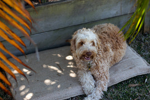 Pet Pillow Hessian Kennel Mat