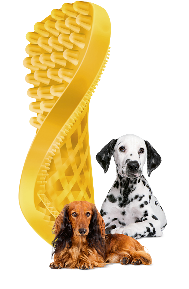 Pet+Me Brush