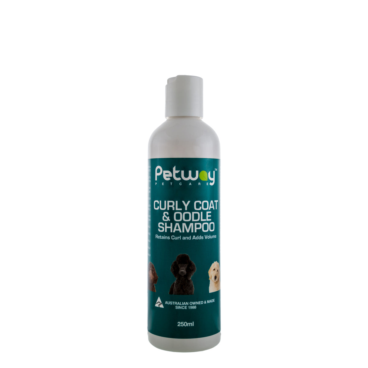 Petway Curly Coat and Ooodle Shampoo