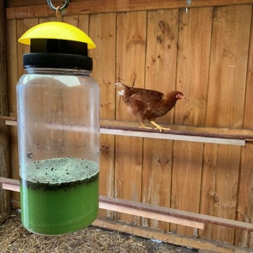 Envirosafe Jumbo Fly Trap