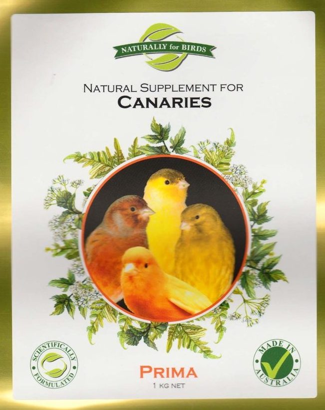Prima Canary