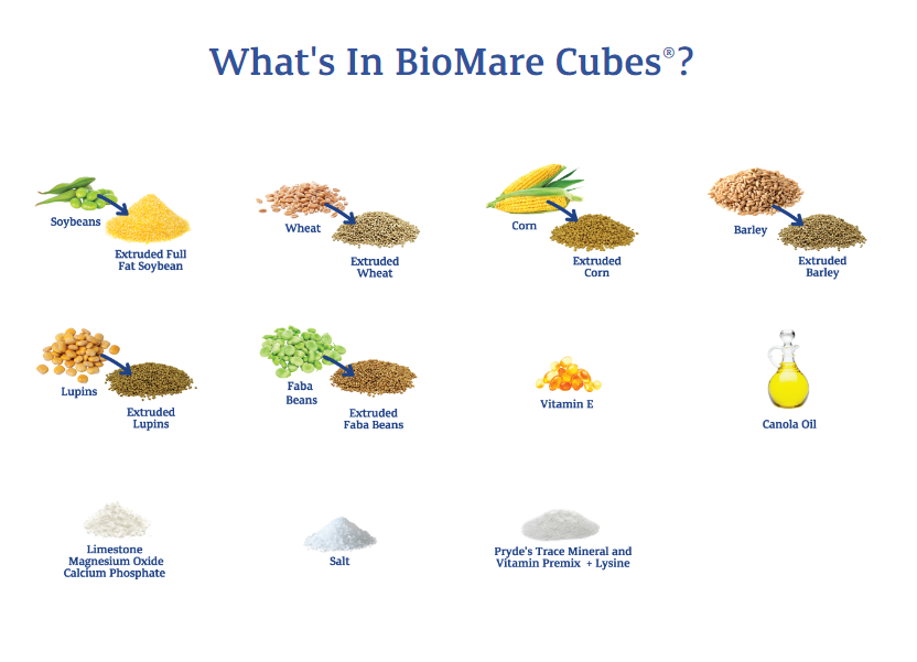 Prydes BioMare Cubes