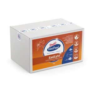 Prydes Easi Lyte