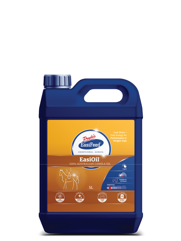 Prydes Easi Oil