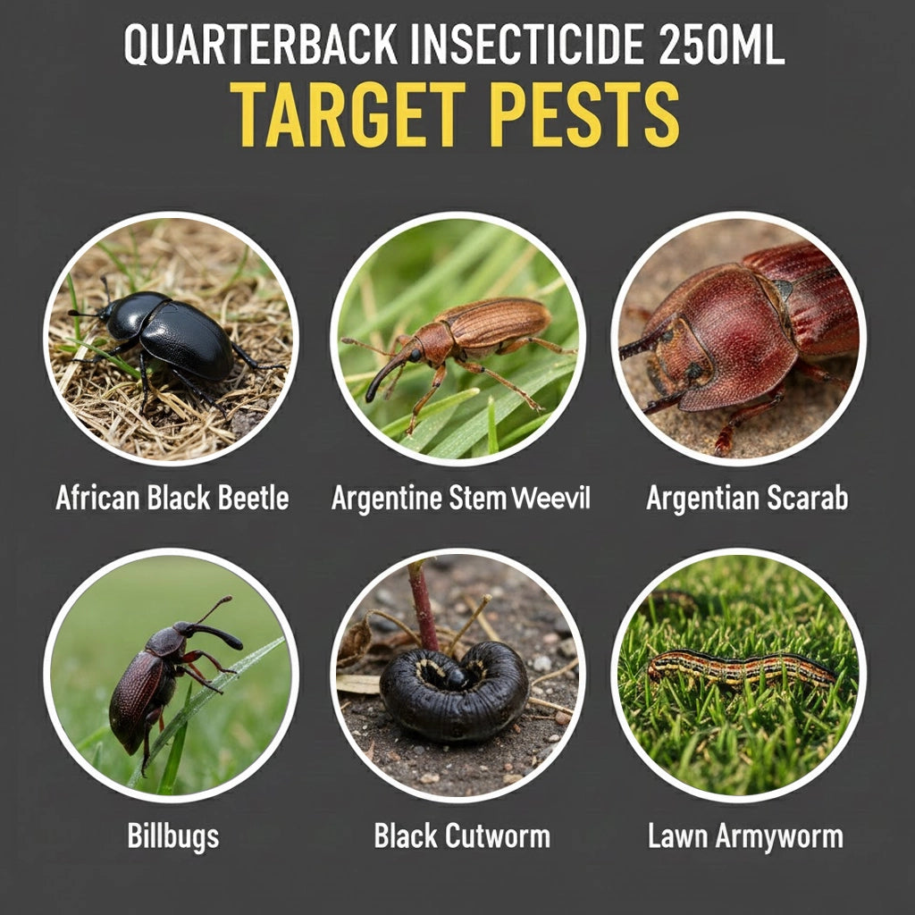 Quarterback Insecticide - 200g/L Chlorantranilprole