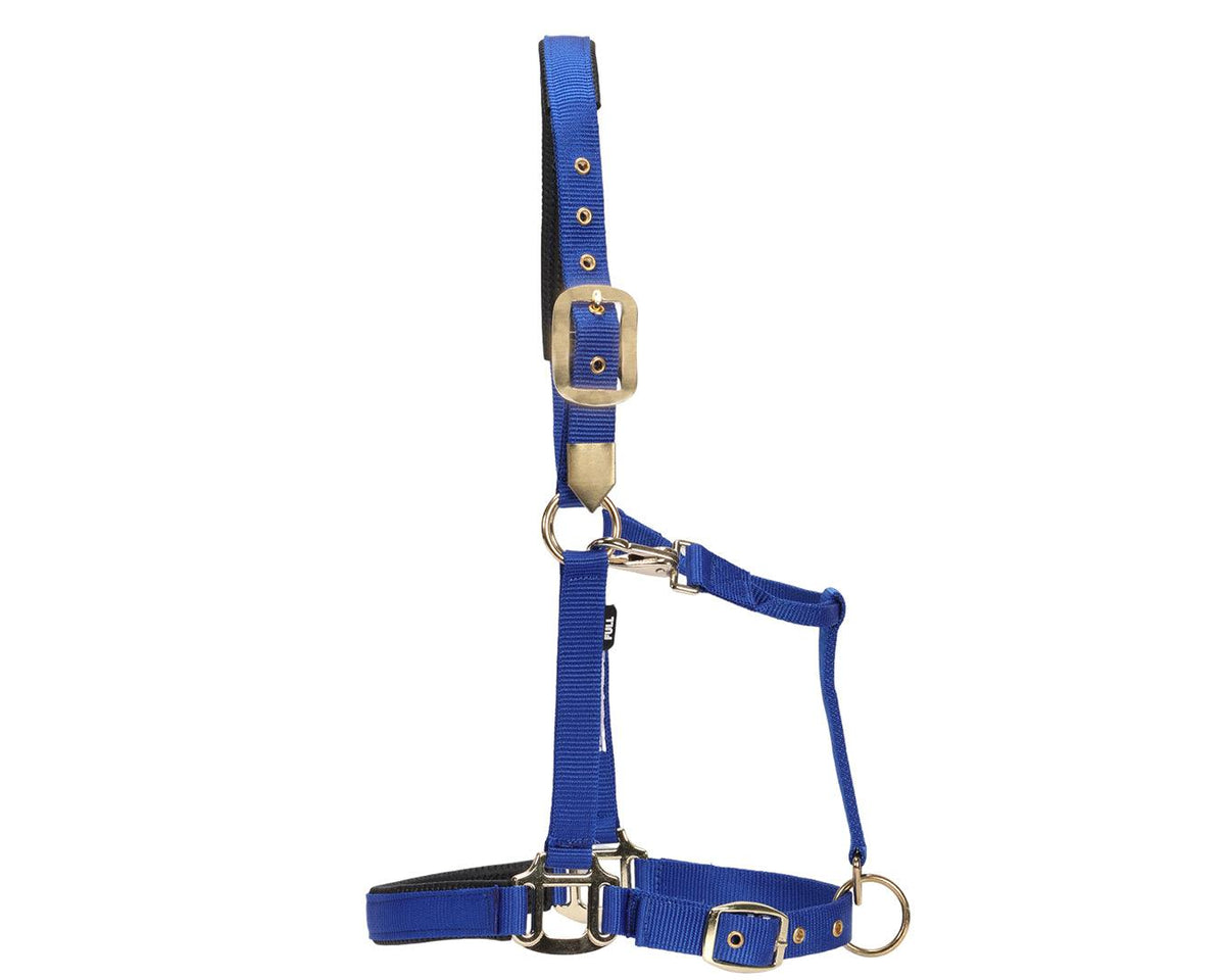 GG Aust Deluxe Nylon Halter