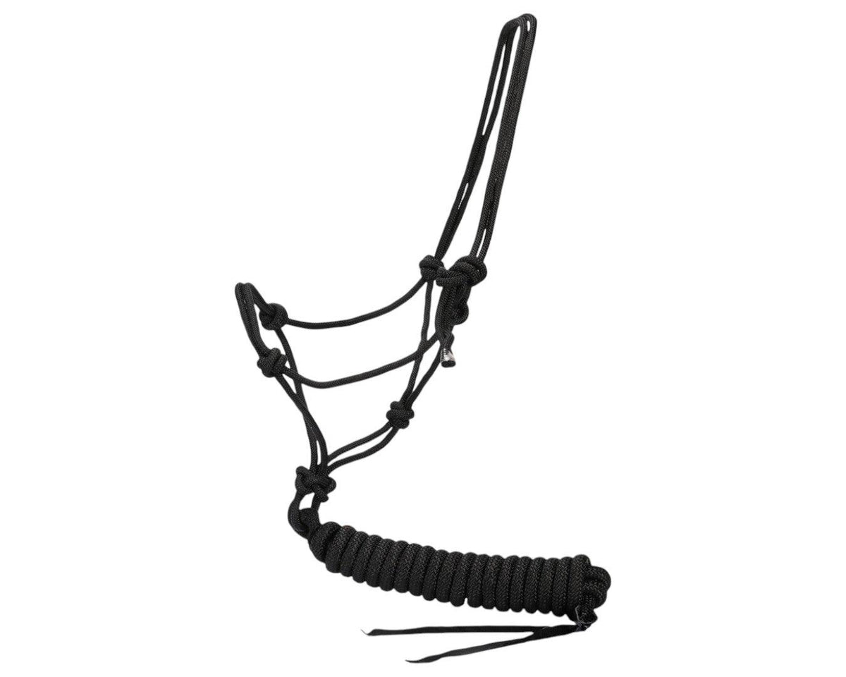 Horsemaster Training Halter & Lead Set