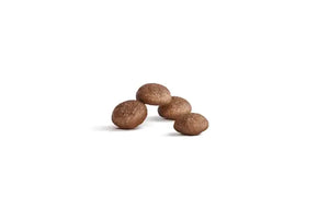 Royal Canin Cat Ageing 11+ Dry Food