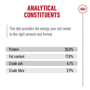 Royal Canin Cat Ageing 11+ Dry Food