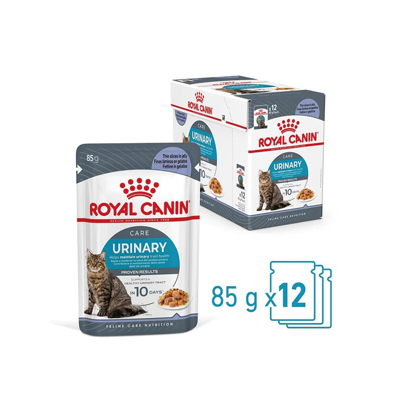 Royal Canin Cat Urinary Care Jelly Wet Cat Food