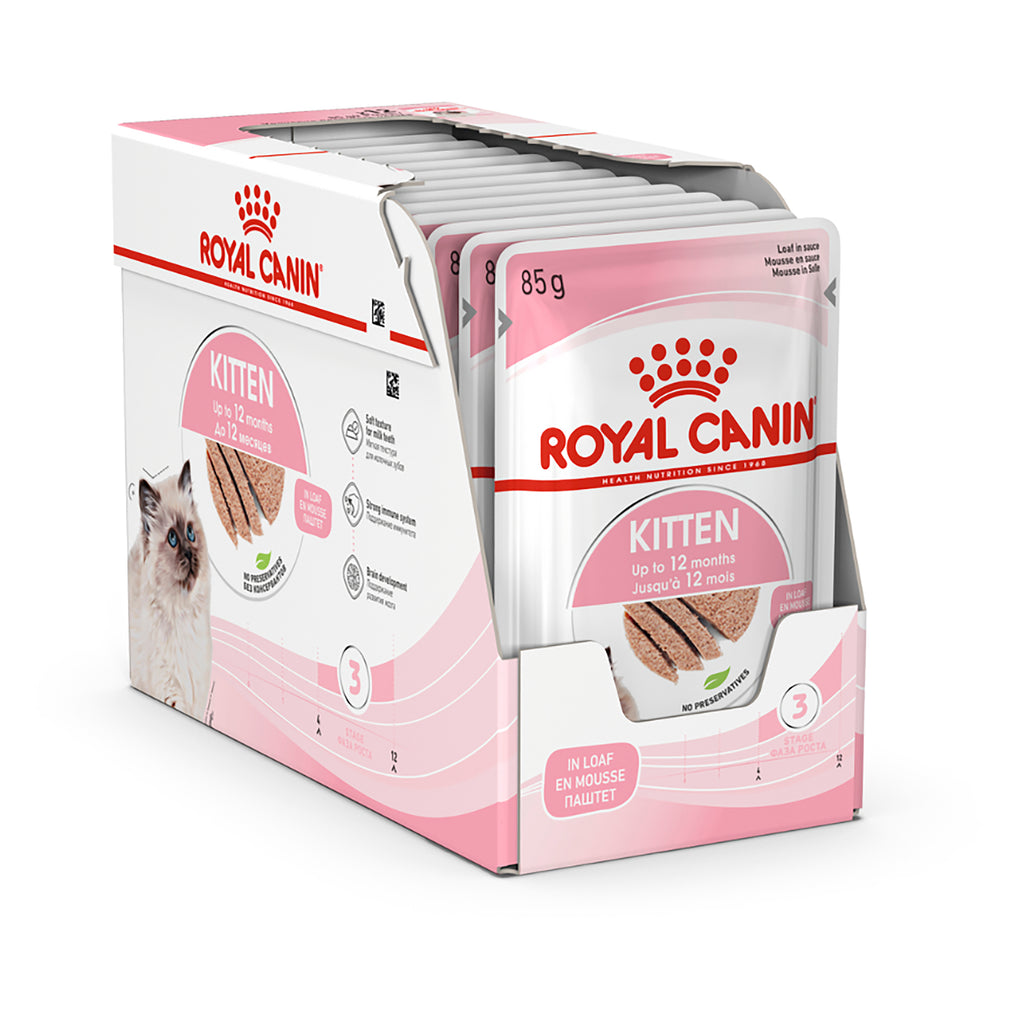 Royal canin hotsell kitten wet