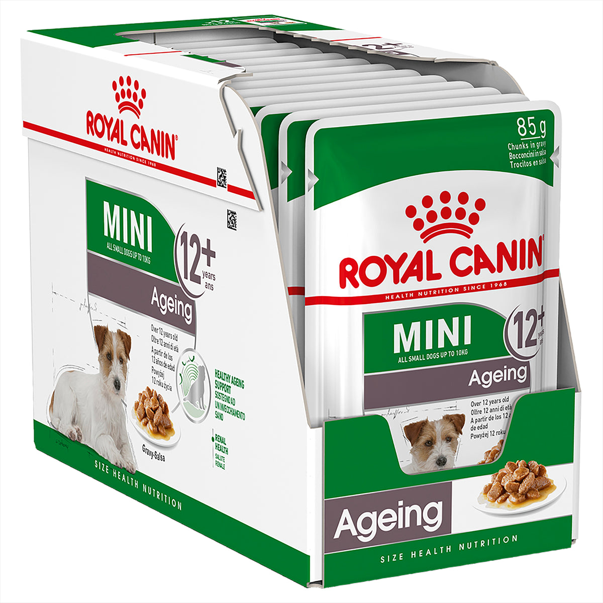 Royal Canin Mini Ageing 12+ Wet Dog Food