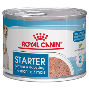 Royal Canin Puppy and Baby Dog Starter Mousse Wet Food