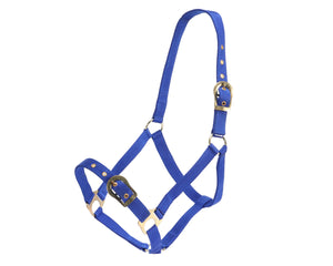 Rancher Halter with Brass Buckles