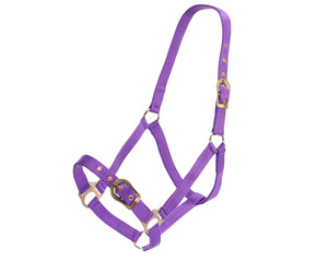 Rancher Halter with Brass Buckles