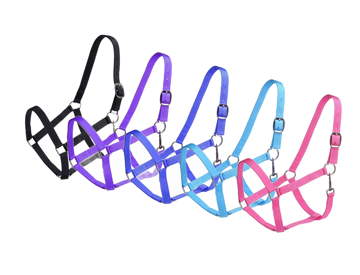 Rancher Stable Halter