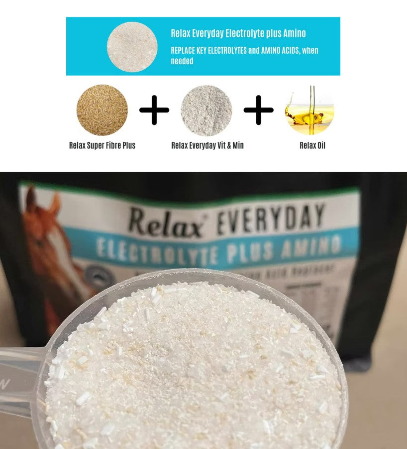 Relax Nutrition Everyday Electrolyte Plus Amino