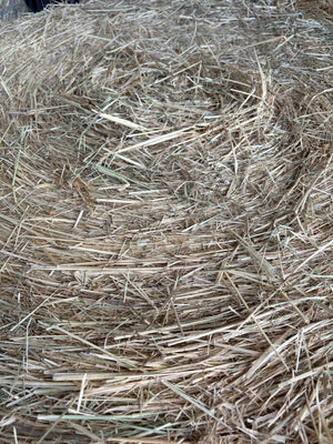 Rhodes Hay 4x4 Round Bale Shedded