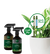 Rocky Point Premium Indoor Plant Care Pack