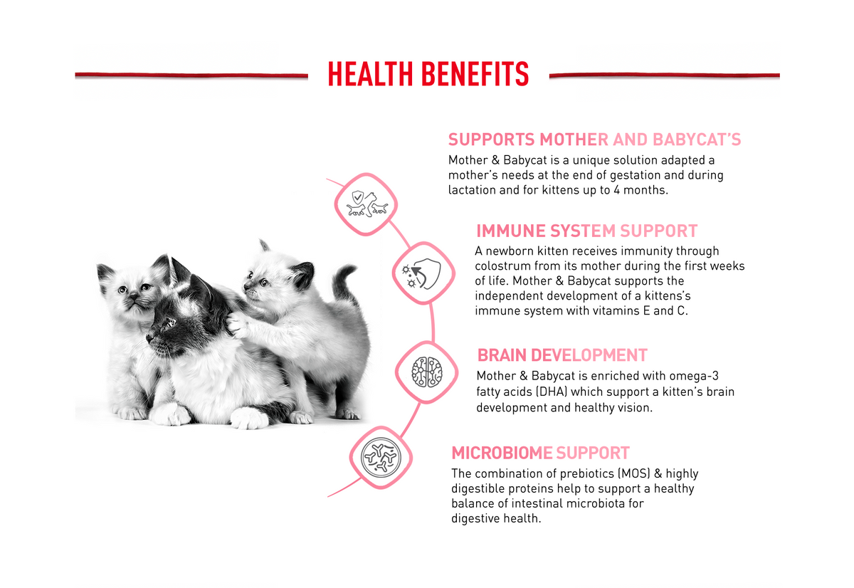 Royal Canin Cat Mother And Babycat Dry Food