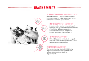 Royal Canin Cat Mother And Babycat Dry Food